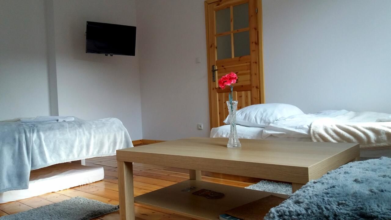 Апартаменты Apartament Albion Шклярска-Поремба-18